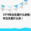 1978年出生是什么命格（1978年出生是什么命）