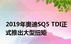 2019年奥迪SQ5 TDI正式推出大型扭矩