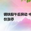 钢铁股午后异动 中南股份涨停