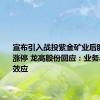 宣布引入战投紫金矿业后股价开盘涨停 龙高股份回应：业务具备协同效应