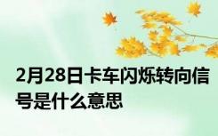 2月28日卡车闪烁转向信号是什么意思