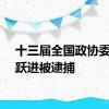 十三届全国政协委员刘跃进被逮捕