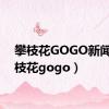 攀枝花GOGO新闻（攀枝花gogo）