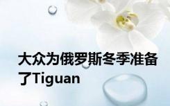 大众为俄罗斯冬季准备了Tiguan