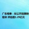 广东榕泰：拟公开挂牌转让12号地块 评估值1.29亿元