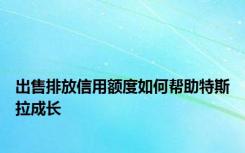 出售排放信用额度如何帮助特斯拉成长