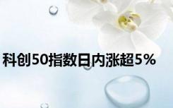 科创50指数日内涨超5%