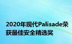 2020年现代Palisade荣获最佳安全精选奖