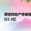 碧桂园地产等被强制执行1.3亿