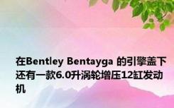 在Bentley Bentayga 的引擎盖下 还有一款6.0升涡轮增压12缸发动机