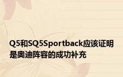 Q5和SQ5Sportback应该证明是奥迪阵容的成功补充