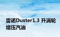 雷诺Duster1.3 升涡轮增压汽油