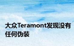 大众Teramont发现没有任何伪装