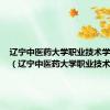 辽宁中医药大学职业技术学院官网（辽宁中医药大学职业技术学院）