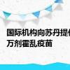 国际机构向苏丹提供140万剂霍乱疫苗