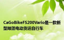 CaGoBikeFS200Vario是一款新型敞篷电动货运自行车