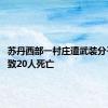 苏丹西部一村庄遭武装分子袭击 致20人死亡