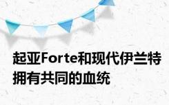 起亚Forte和现代伊兰特拥有共同的血统