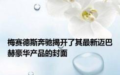 梅赛德斯奔驰揭开了其最新迈巴赫豪华产品的封面