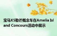 宝马X5勒芒概念车在Amelia Island Concours活动中展示