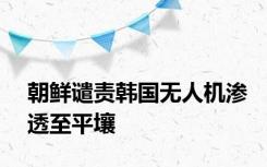 朝鲜谴责韩国无人机渗透至平壤