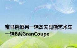 宝马挑逗另一辆杰夫昆斯艺术车一辆8系GranCoupe