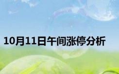 10月11日午间涨停分析