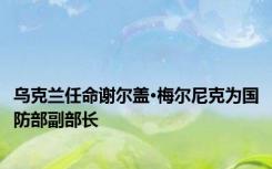 乌克兰任命谢尔盖·梅尔尼克为国防部副部长