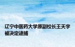 辽宁中医药大学原副校长王天宇被决定逮捕