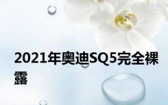 2021年奥迪SQ5完全裸露