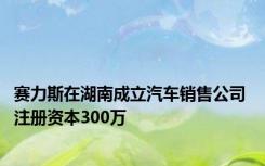 赛力斯在湖南成立汽车销售公司 注册资本300万