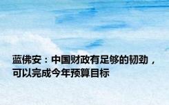 蓝佛安：中国财政有足够的韧劲，可以完成今年预算目标