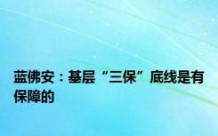 蓝佛安：基层“三保”底线是有保障的