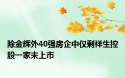 除金辉外40强房企中仅剩祥生控股一家未上市