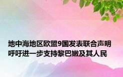 地中海地区欧盟9国发表联合声明 呼吁进一步支持黎巴嫩及其人民