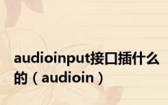 audioinput接口插什么的（audioin）