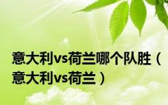 意大利vs荷兰哪个队胜（意大利vs荷兰）