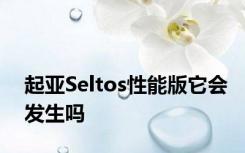 起亚Seltos性能版它会发生吗