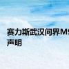 赛力斯武汉问界M9事故声明