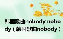 韩国歌曲nobody nobody（韩国歌曲nobody）