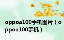 oppoa100手机图片（oppoa100手机）