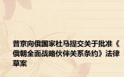 普京向俄国家杜马提交关于批准《俄朝全面战略伙伴关系条约》法律草案