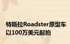 特斯拉Roadster原型车以100万美元起拍