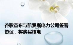 谷歌宣布与凯罗斯电力公司签署协议，将购买核电