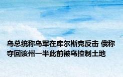 乌总统称乌军在库尔斯克反击 俄称夺回该州一半此前被乌控制土地