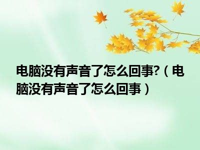 电脑没有声音了怎么回事?（电脑没有声音了怎么回事）