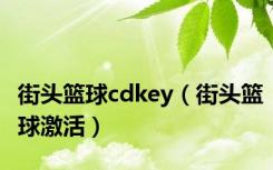 街头篮球cdkey（街头篮球激活）