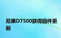 尼康D7500获得固件更新