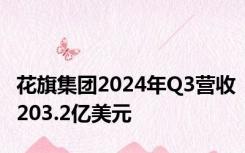 花旗集团2024年Q3营收203.2亿美元