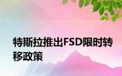 特斯拉推出FSD限时转移政策